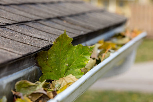 Frühlingsputz mal anders: 5 Dinge, die Sie im Garten garantiert vergessen